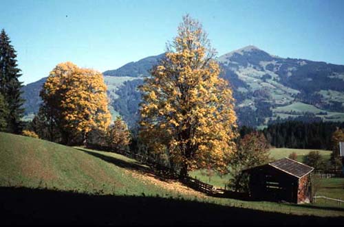 Hopfgarten-Penningberg.jpg - 36 (Kbytes)&nbsp;&nbsp;&nbsp;
