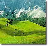 Natur Bergwiesen und almen.jpg - 9 (Kbytes)&nbsp;&nbsp;&nbsp;