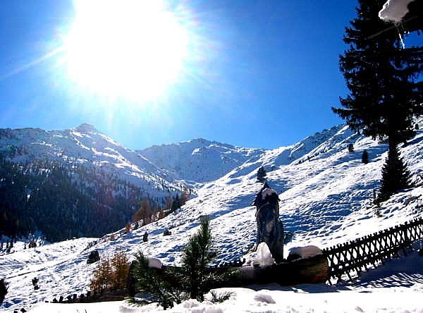 saga303.jpg - 85 (Kbytes)&nbsp;&nbsp;&nbsp;