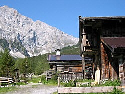 neu1.jpg - 21 (Kbytes)&nbsp;&nbsp;&nbsp;